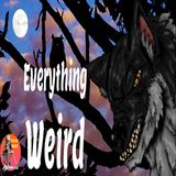 Everything Weird | Interview with Dave Spinks | Podcast