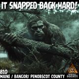 The Sasquatch That Snapped Back in Bangor!