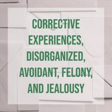Corrective Experiences, Disorganized, Avoidant, Felony, and Jealousy