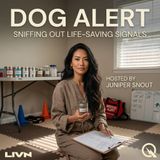 Dog Alert - From Living Room to Real World: Cracking the Code of Generalization