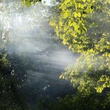 Kryon - Green Healing Mist