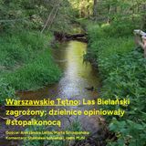 Warszawskie Tętno: Las Bielański zagrożony; dzielnice opiniowały #stopalkonocą