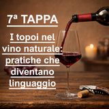 7ª TAPPA - Percorso di AVVICINAMENTO al mondo del VINO NATURALE