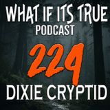 Archive 224 Ghosts and Bigfoot