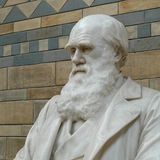 Biology Professor Convinced The Best Evidence In Science Points To The Creator