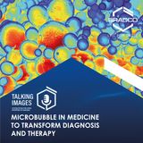 Microbubble in medicine to transform diagnosis and therapy