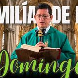 EN VIVO  Esto AUMENTARÁ tu FE  HOMILÍA DE HOY DOMINGO  PADRE LUIS TORO