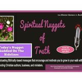 SPIRITUAL NUGGETS OF TRUTH: Today's Nugget "Saddled On The Sidelines"