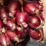 La cipolla rossa di Tropea, un farmaco a tavola!