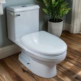 A Sermon on the Toilet: Because I'm Full of Sh!+ (NSSR)