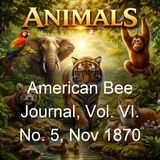 American Bee Journal Vol VI No 5 Nov 1870 - Various