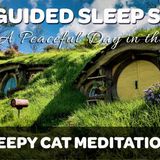 A Peaceful Day in The Shire - Guided Sleep Story Inspired by The Lord of the Rings