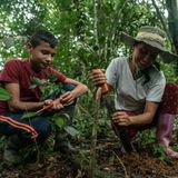 Los guardianes de los bosques amazónicos colombianos