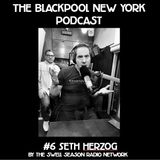 Black Pool New York Podcast #6: Seth Herzog