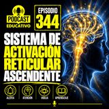 344-Sistema de Acivación Reticular Ascendente
