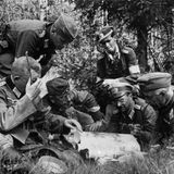Seconda Guerra Mondiale: schieramenti, cause ed eventi principali