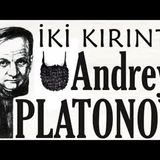 İKİ KIRINTI  Andrey PLATONOV sesli öykü tek parça Akın ALTAN