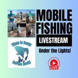 Fishing Under The Lights - Galveston Fishing Pier - Mobile Fishing Livestream 16 (Audio Podcast)