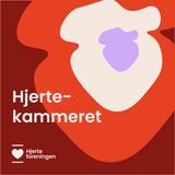 Naturlægemidler, kosttilskud og hjertemedicin – går det sammen?