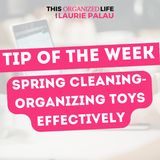Tip of the Week: Spring Cleaning-Organizing Toys Effectively | Ep 106