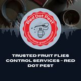 Trusted Fruit Flies Control Services – Red Dot Pest