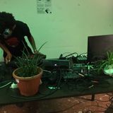 "Green Sound"  live from the Plants  for "Morning Cigarettes show"     19 Giugno 2019