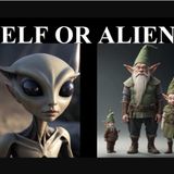 Elf or Alien: Ten True Cases