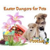 Easter Dangers - Chocolates & Lillies - Nadia Crighton