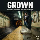 Grown - The Burrito That Built Itself