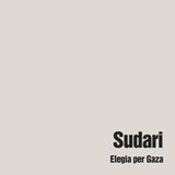 Stagione 12, puntata 8: "Sudari. Elegia per Gaza", di Paola Caridi