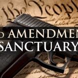 Episode 1246 - Missouri County Enacts SAPA & Florida Representative Calls for 2A Sanctuary