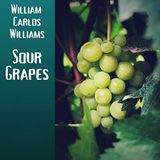 Sour Grapes by William Carlos Williams | Full Audiobook | Audiobook Time