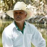 ONU-DH condena asesinato de defensor ambiental en Veracruz