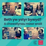 Pennod 6 - A Oes Heddwch?