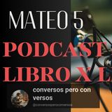 Mateo 5 Explicado: Las Bienaventuranzas, Jesús y el Sermón del Monte | Podcast Bíblico LIBRO X LIBRO
