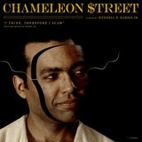 Episode 548: Chameleon Street (1989)