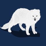 Frosty, a Raposa do Ártico | Histórias Educativas