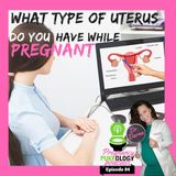 Uterus during pregnancy - Anteverted, Retroverted, Tilted Uterus
