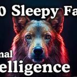 The Hidden World of Animal Intelligence _ 100 Facts to Fall Asleep To