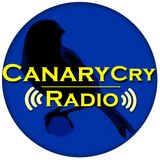 SPECIAL CANARY CRY RADIO ROUNDTABLE with Rod Aaron and Michael: WNC War Room!