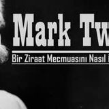 Bir Ziraat Mecmuasını Nasıl İdare Ettim  MARK TWAIN sesli öykü