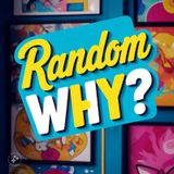 Season 2 - Ep.11: Off-Script Random Why?