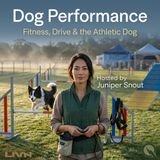 Dog Performance - Fueling the Fire: Nutrition, Recovery & Keeping Your Athlete in the Game