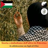 Storia e simbolismo dell’ulivo in Palestina