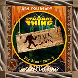 A Strange Thing S1 E24 - Big Bros P5