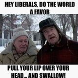 I Have Figured Out Why The Liberals Are So Crazy!