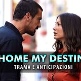 My Home My Destiny, Anticipazioni Puntate dall'8 al 12 Luglio 2024: Zeynep Vuole Il Divorzio Da Mehdi!
