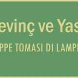 Sevinç ve Yasa  Giuseppe Tomasi di Lampedusa sesli öykü