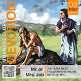 MGD: Mr. or Mrs. Job