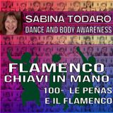 #100 Le peñas flamencas e il flamenco - Flamenco Chiavi in Mano